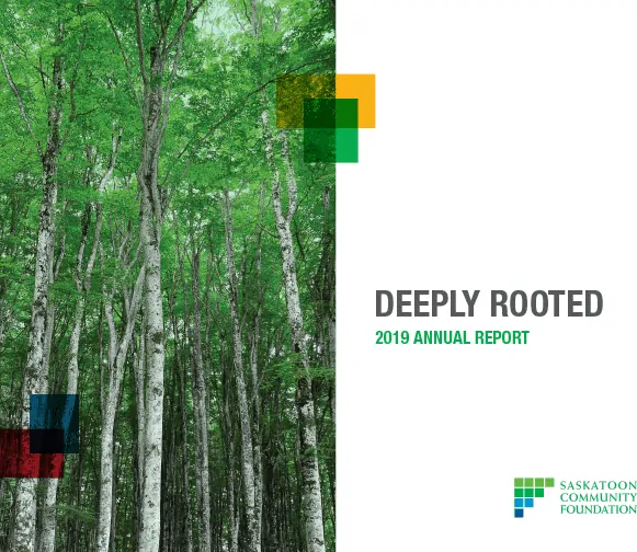 SCF 2019 Annual Report web 1