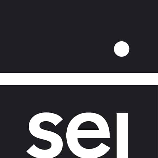 SEI Logo new as of Nov 2021